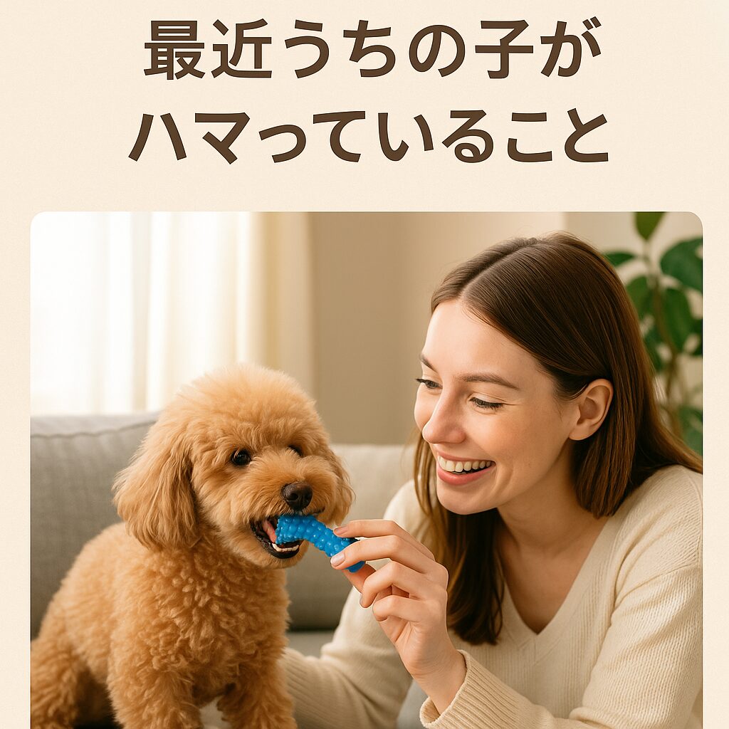 最近うちの子(愛犬)がハマっていること